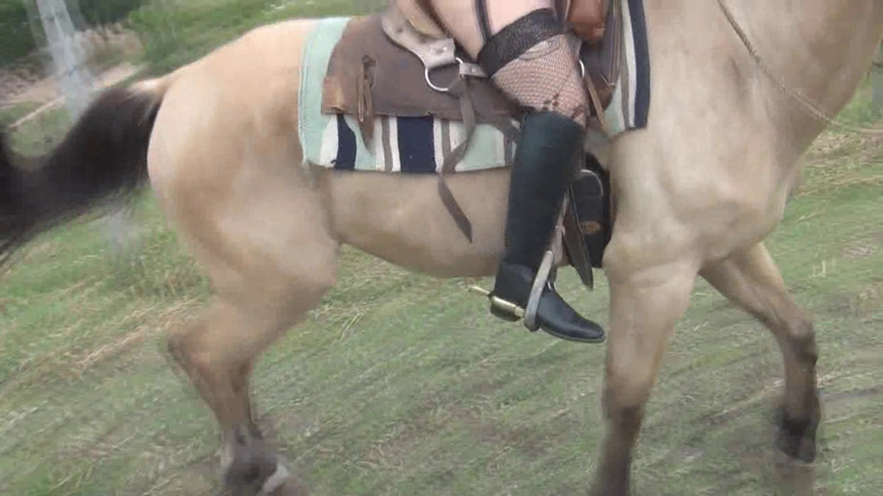 CL8565_SexyMarianRiding.wmv_random_01.jpg