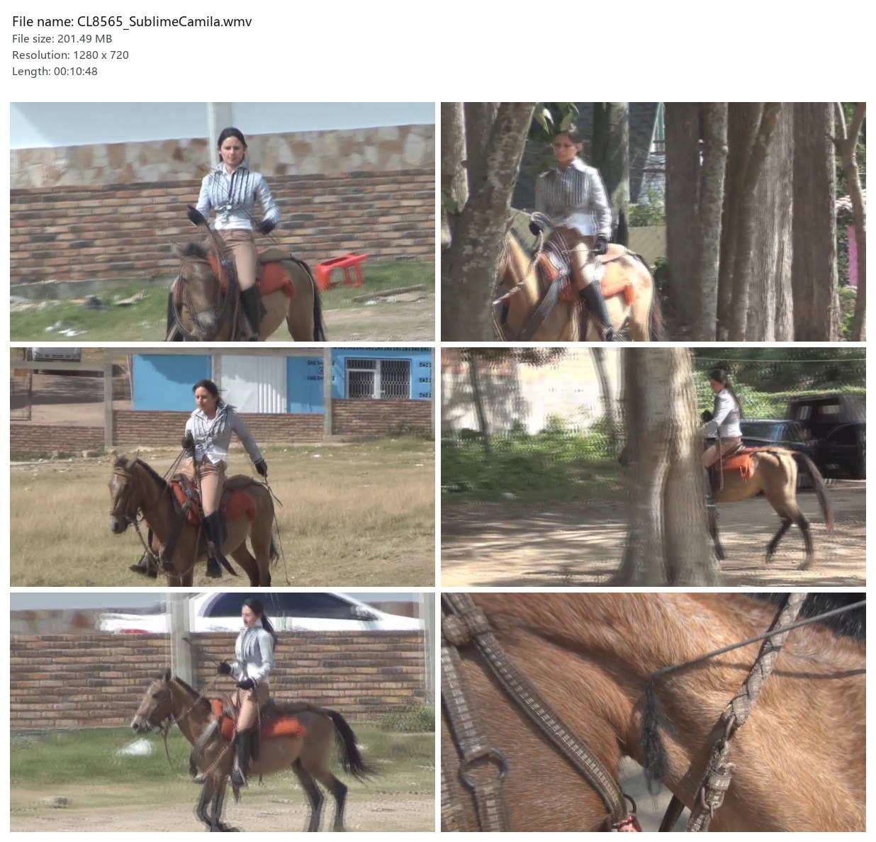 CL8565_SublimeCamila.wmv_2x3.jpg
