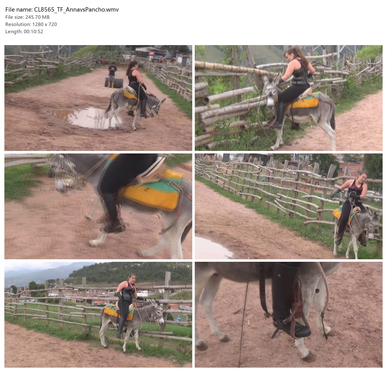 CL8565_TF_AnnavsPancho.wmv_2x3.jpg