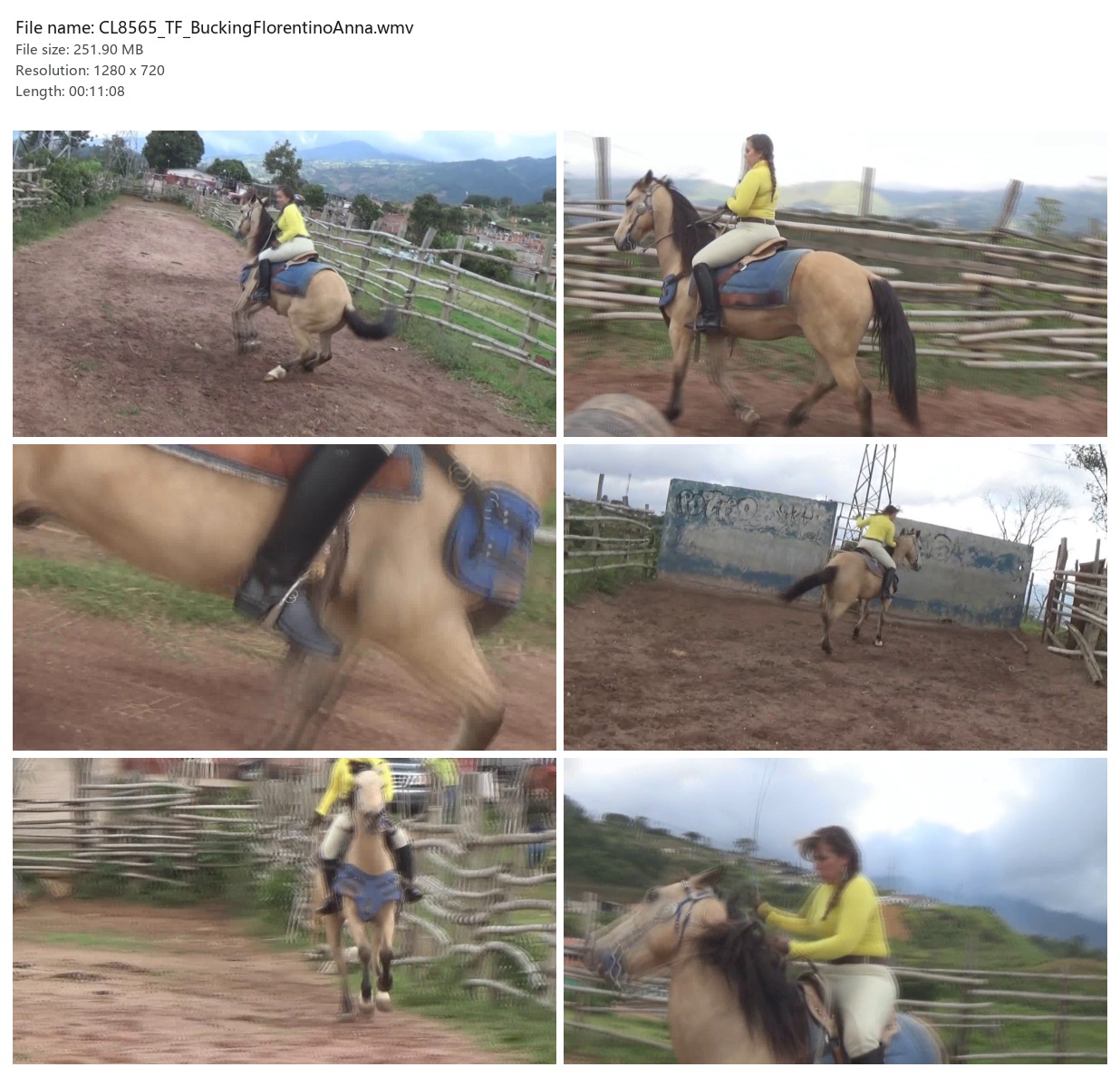 CL8565_TF_BuckingFlorentinoAnna.wmv_2x3.jpg