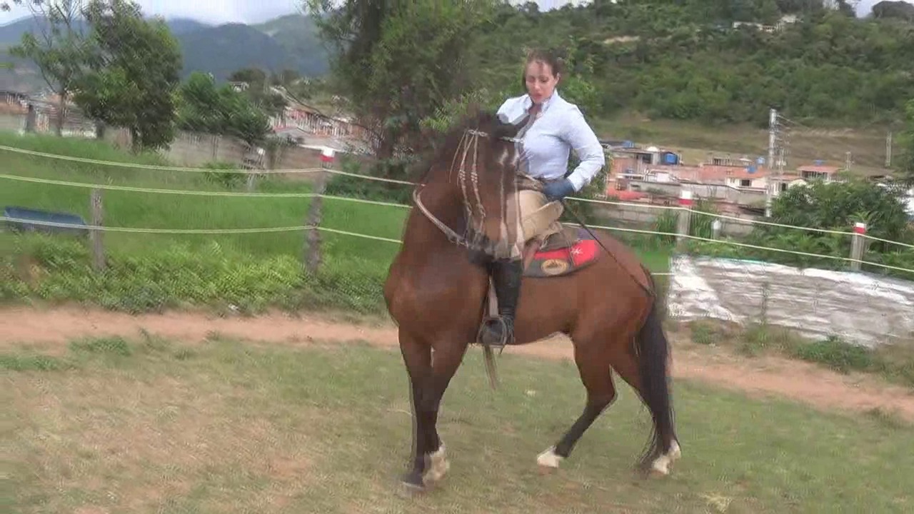 CL8565_TF_ChallengingRideCastawayAnna.wmv_random_01.jpg