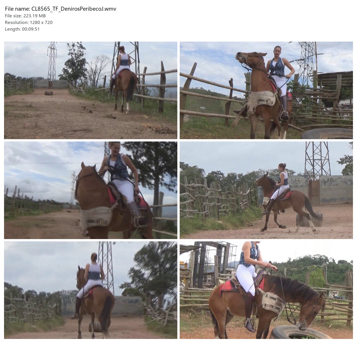 CL8565_TF_DenirosPeribecoJ.wmv_2x3.jpg