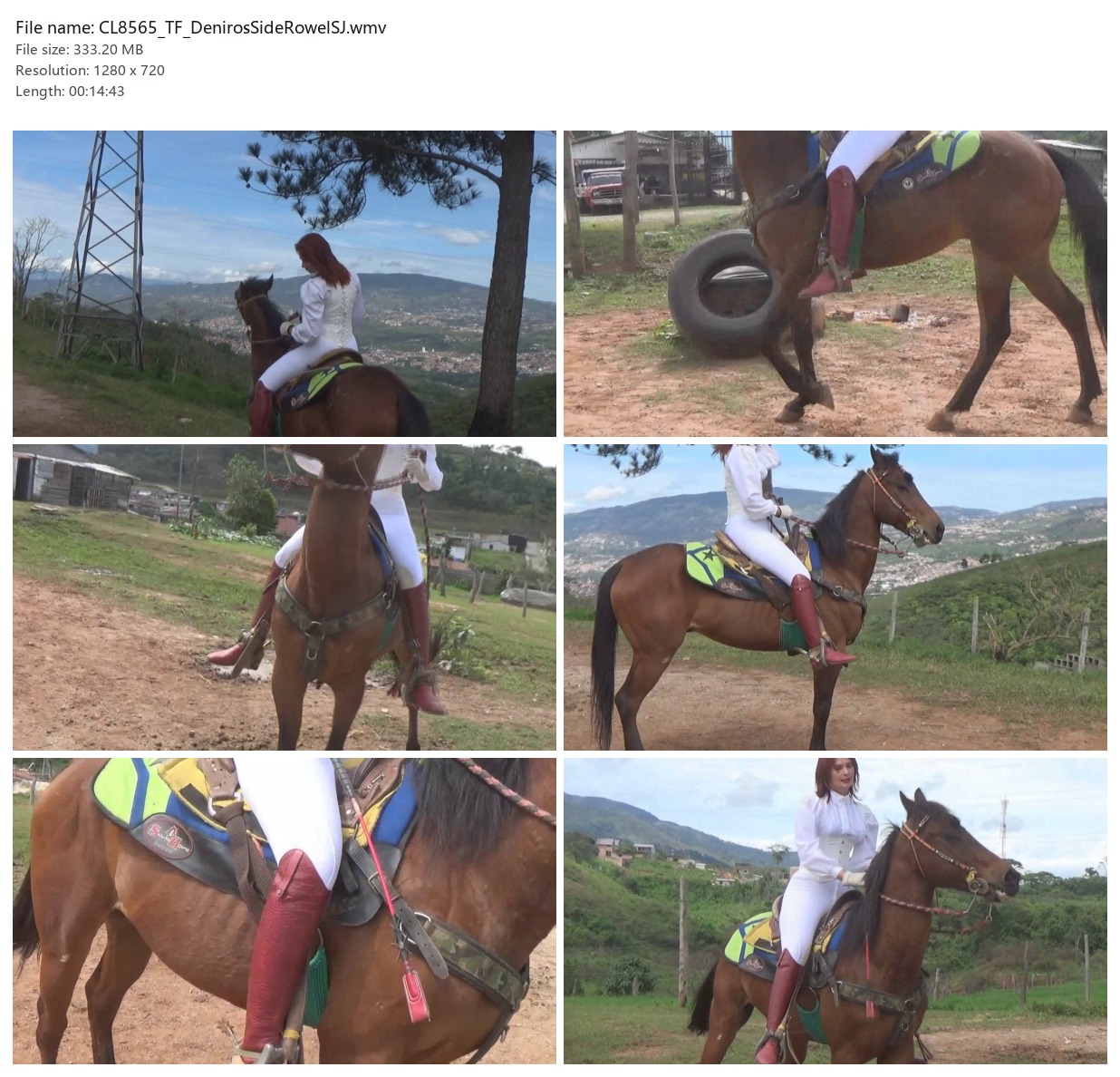 CL8565_TF_DenirosSideRowelSJ.wmv_2x3.jpg