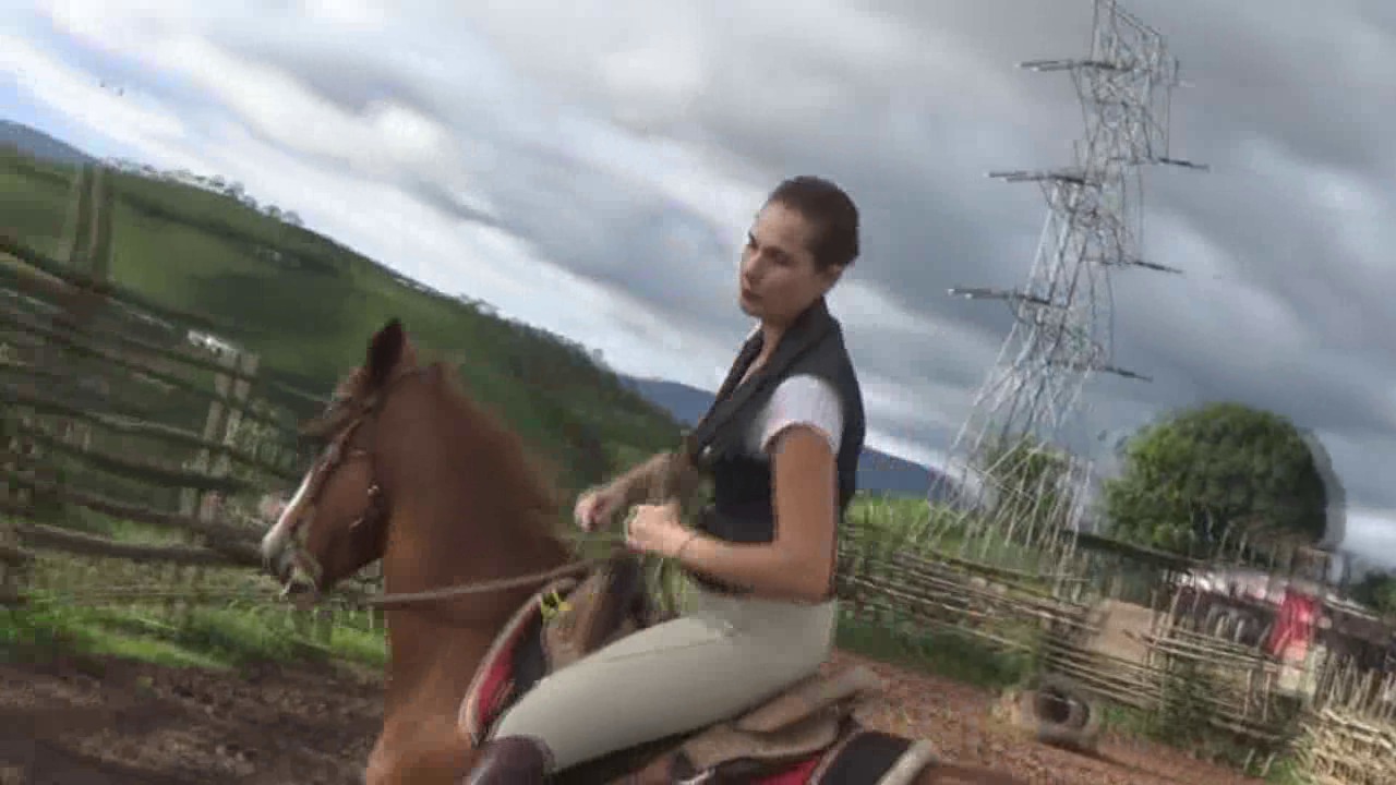 CL8565_TF_GallopingWorkoutZeusJ.wmv_random_01.jpg