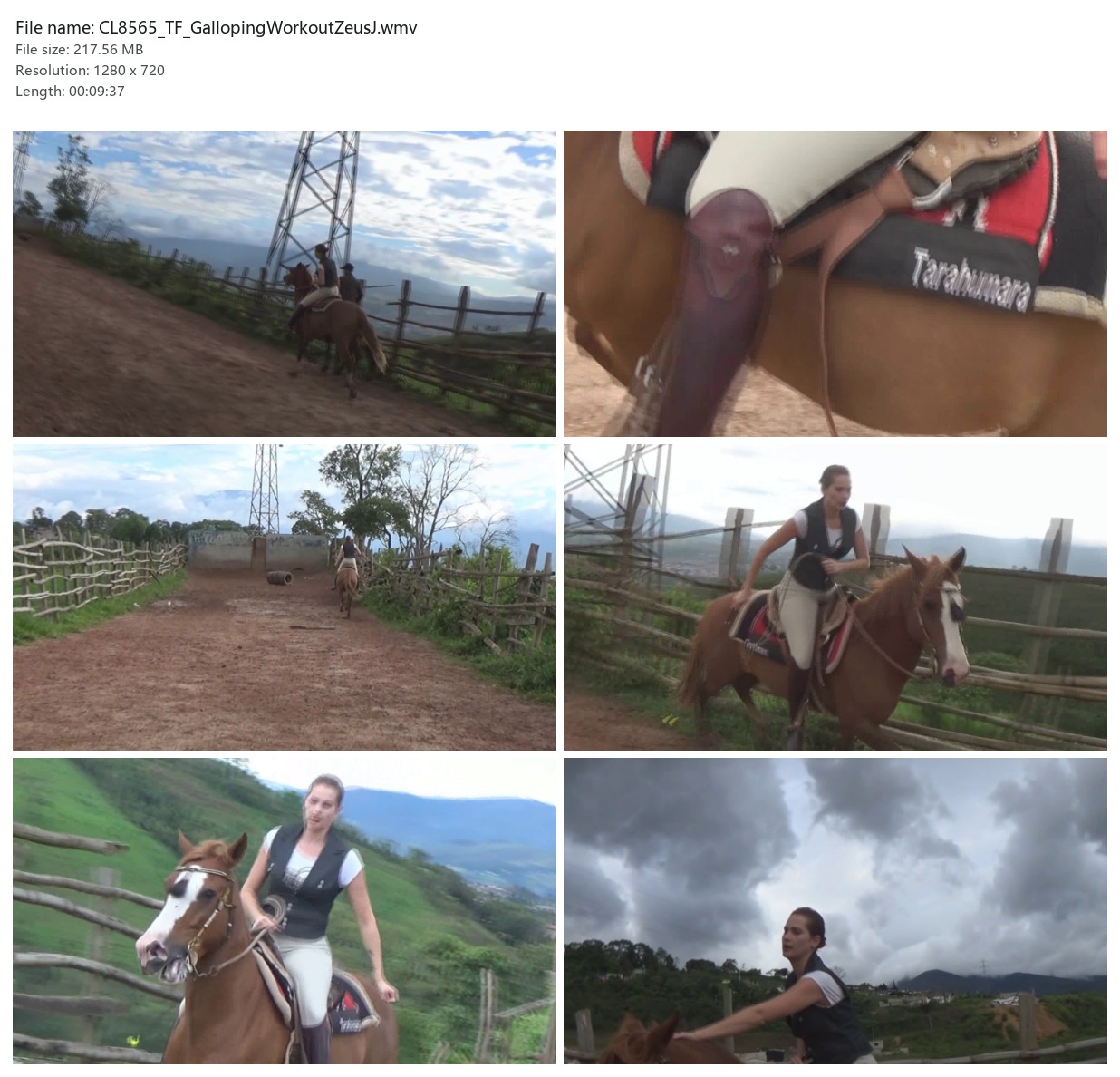 CL8565_TF_GallopingWorkoutZeusJ.wmv_2x3.jpg