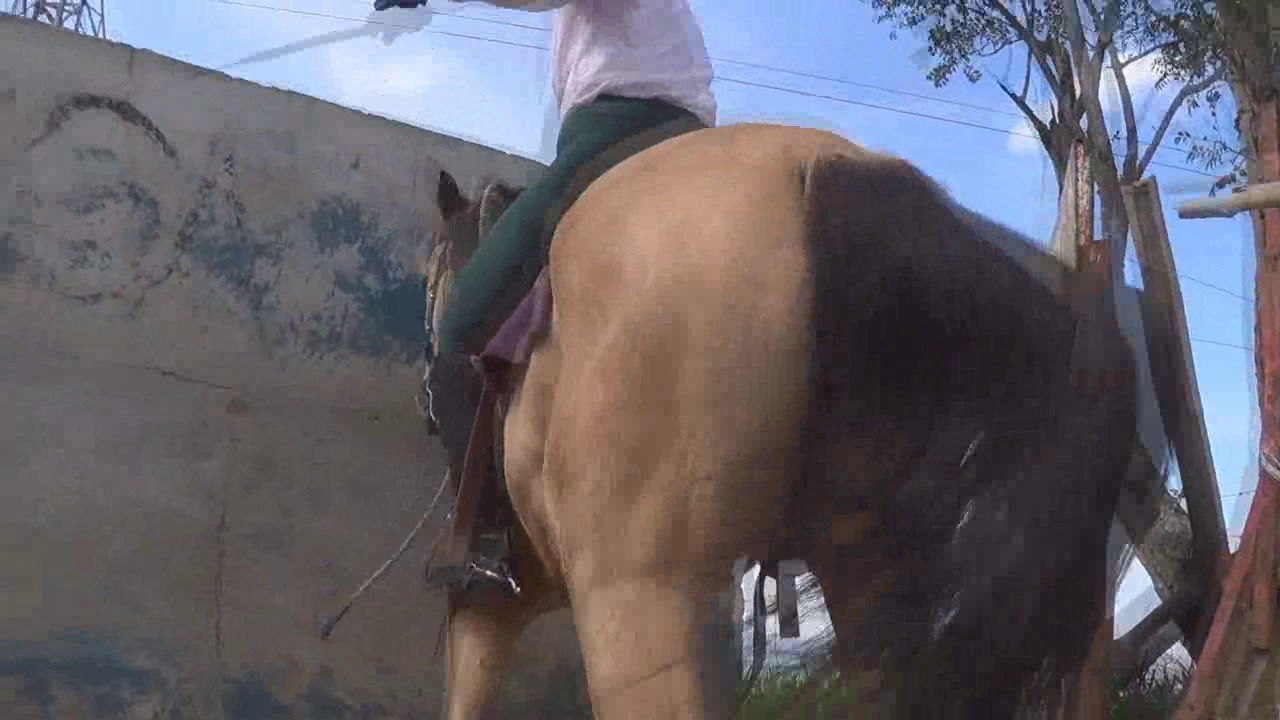 CL8565_TF_HardChapaAnna.wmv_random_01.jpg
