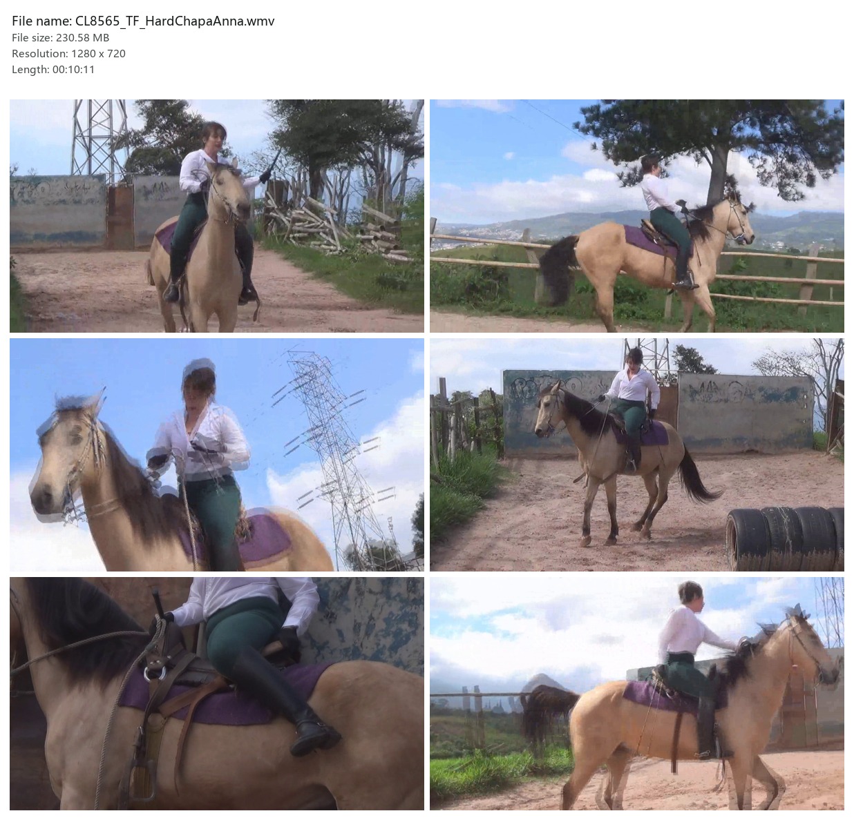 CL8565_TF_HardChapaAnna.wmv_2x3.jpg