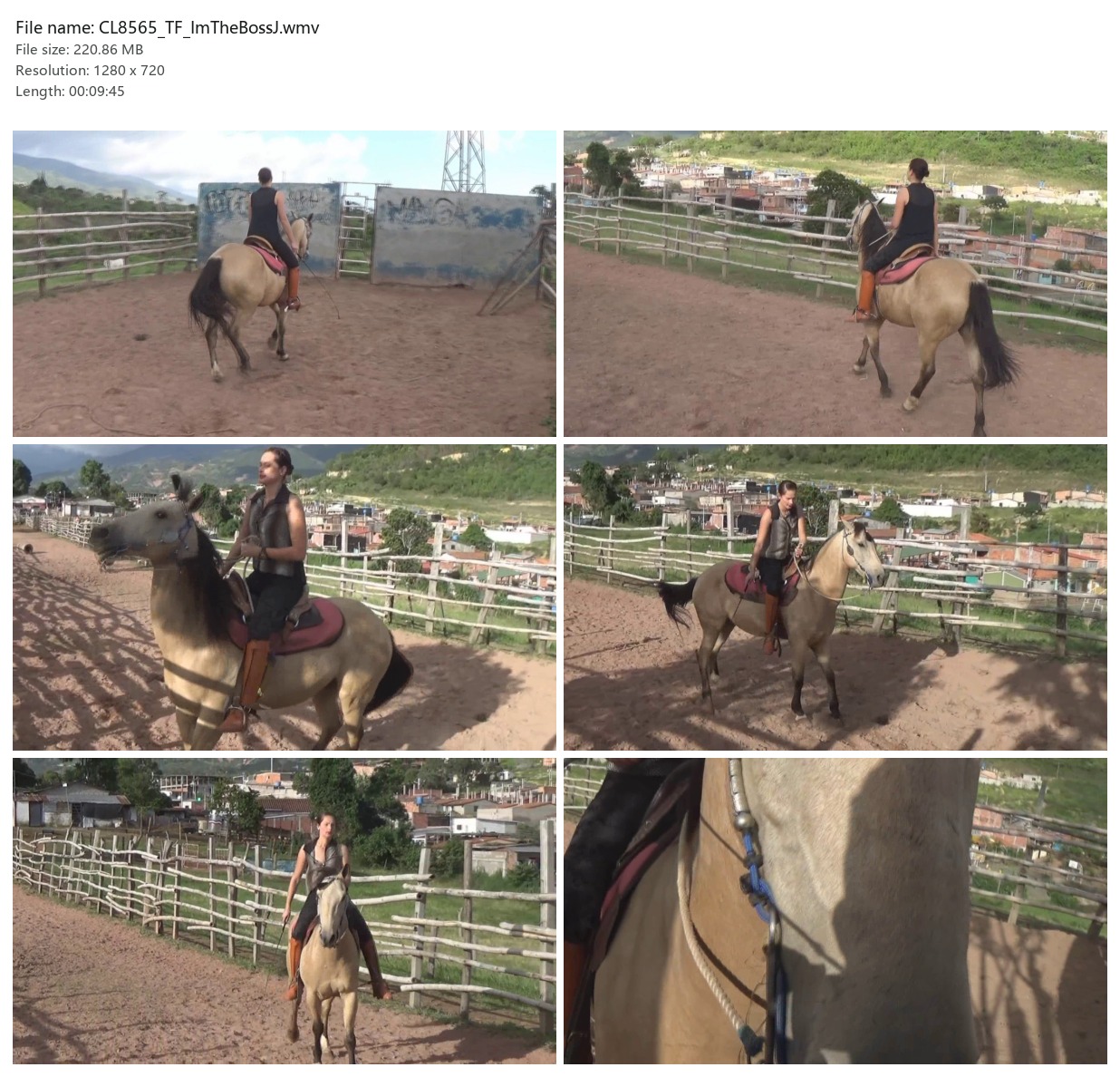 CL8565_TF_ImTheBossJ.wmv_2x3.jpg