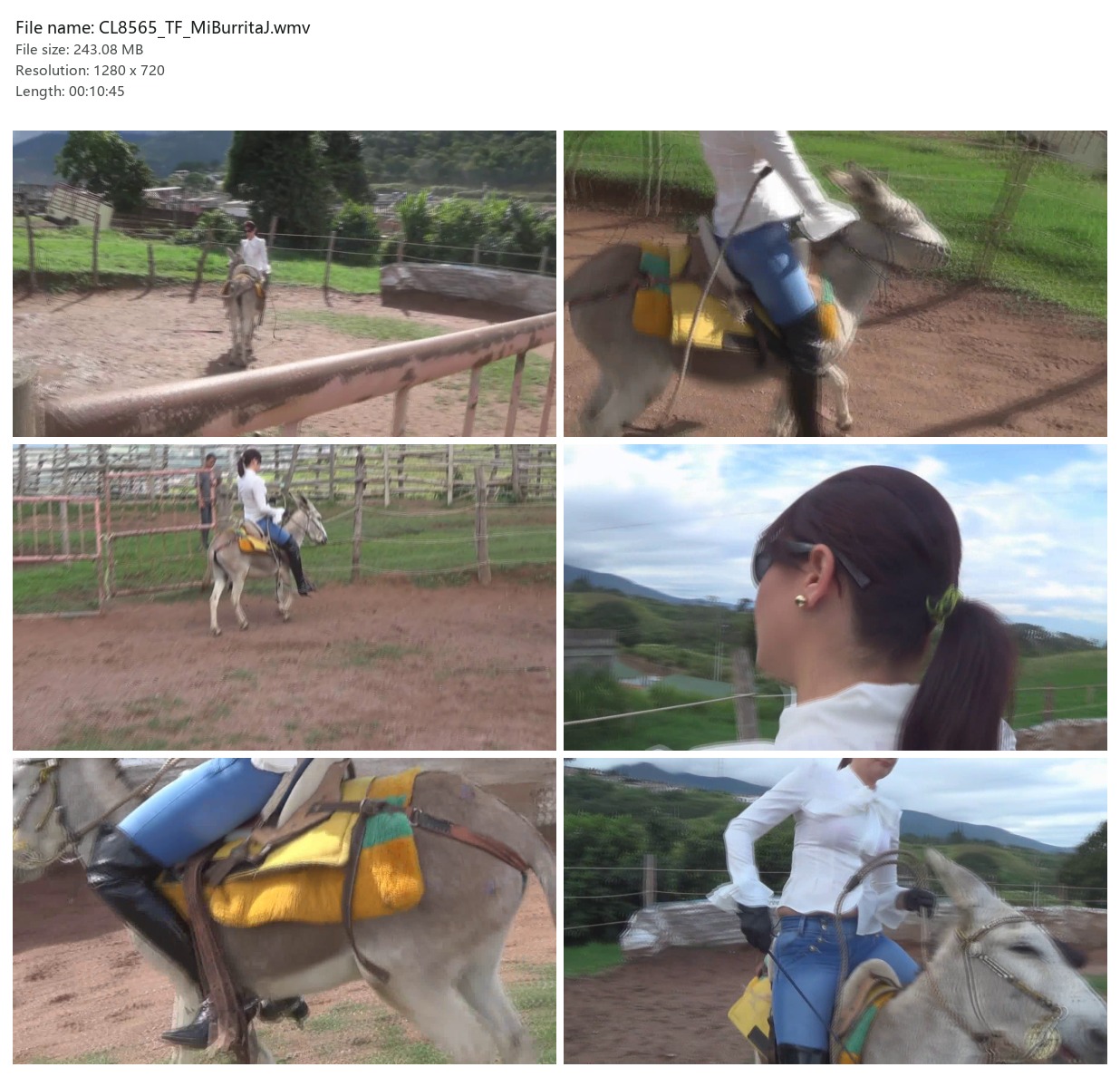 CL8565_TF_MiBurritaJ.wmv_2x3.jpg