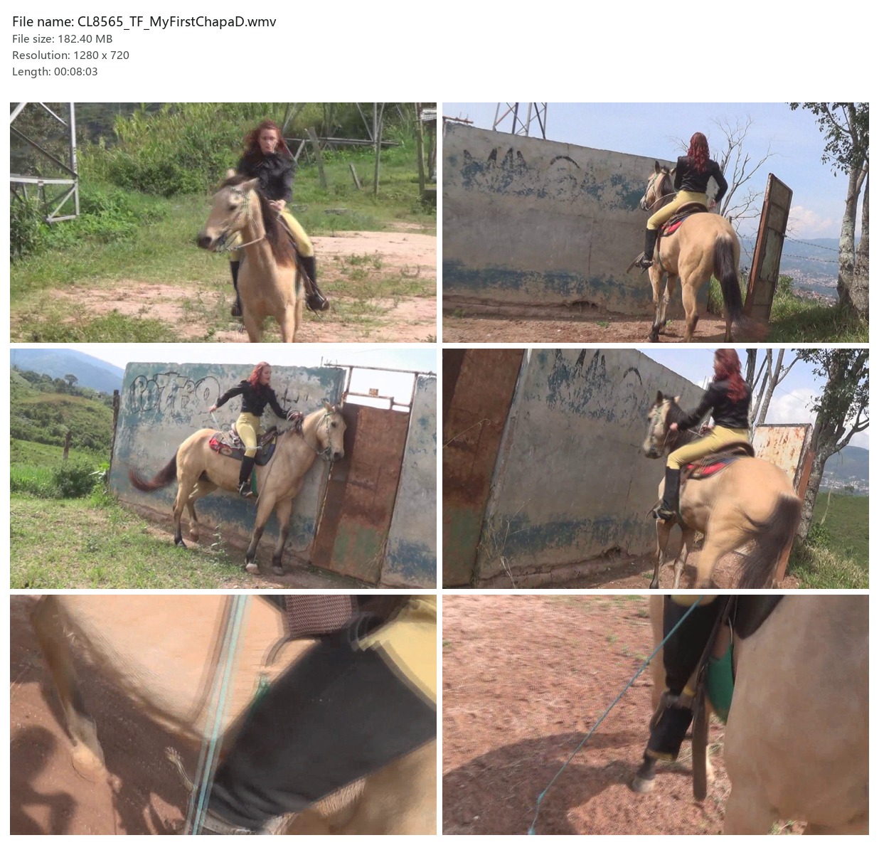 CL8565_TF_MyFirstChapaD.wmv_2x3.jpg