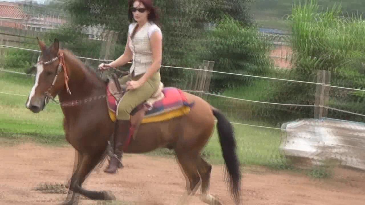 CL8565_TF_NicePeribecoFightJ.wmv_random_01.jpg