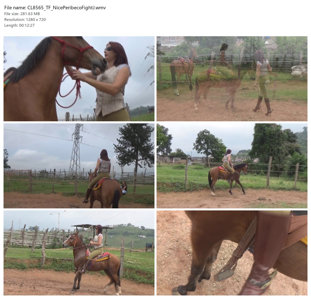CL8565_TF_NicePeribecoFightJ.wmv_2x3.jpg