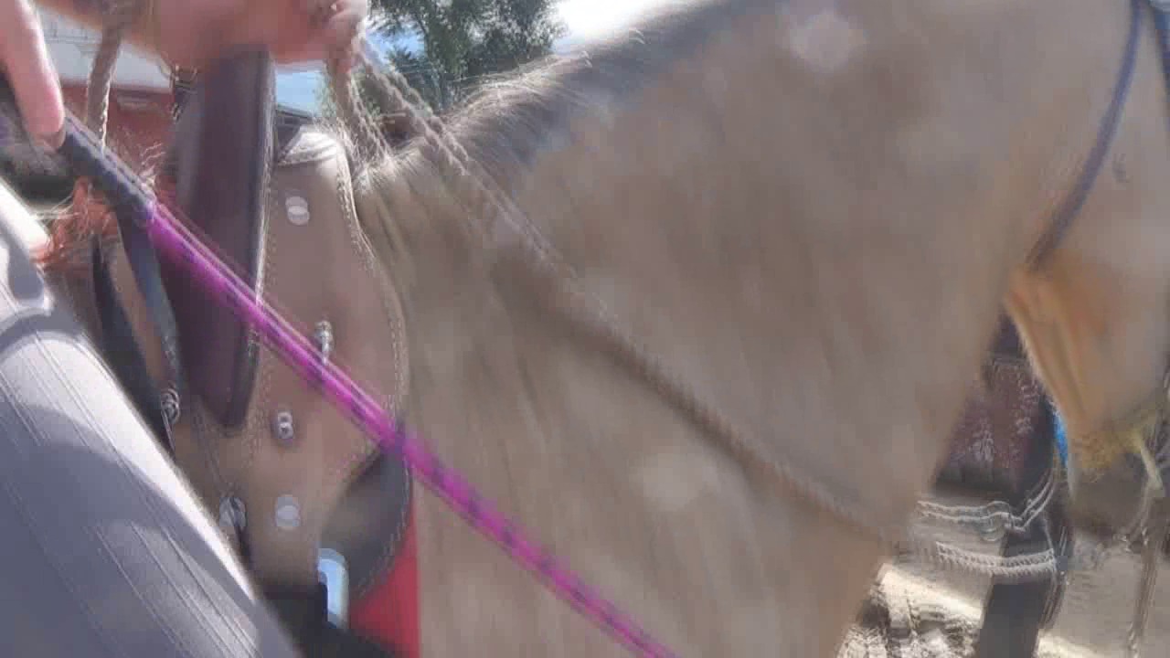 CL8565_TF_PurpleRide.wmv_random_01.jpg