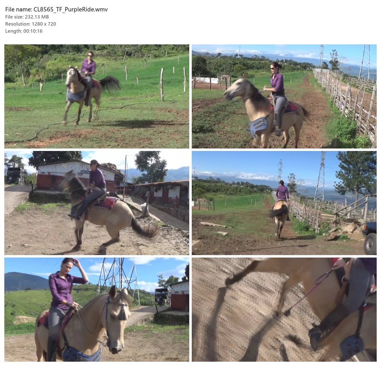 CL8565_TF_PurpleRide.wmv_2x3.jpg