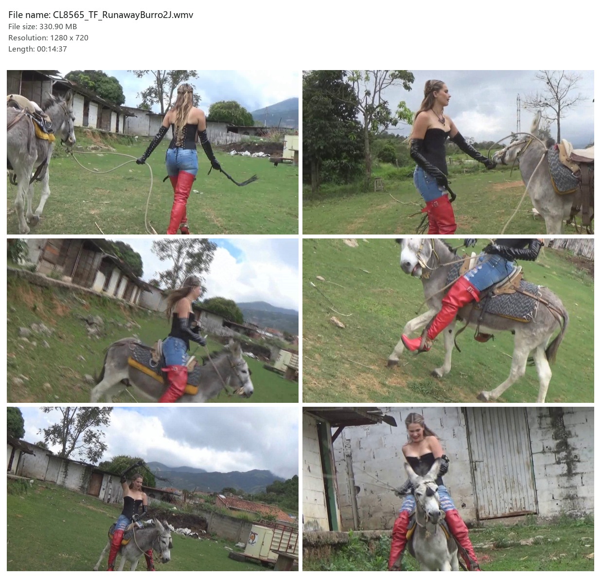 CL8565_TF_RunawayBurro2J.wmv_2x3.jpg