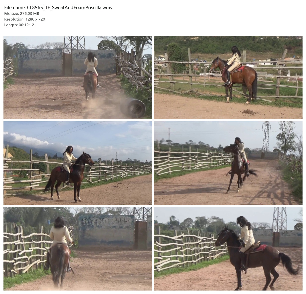 CL8565_TF_SweatAndFoamPriscilla.wmv_2x3.jpg