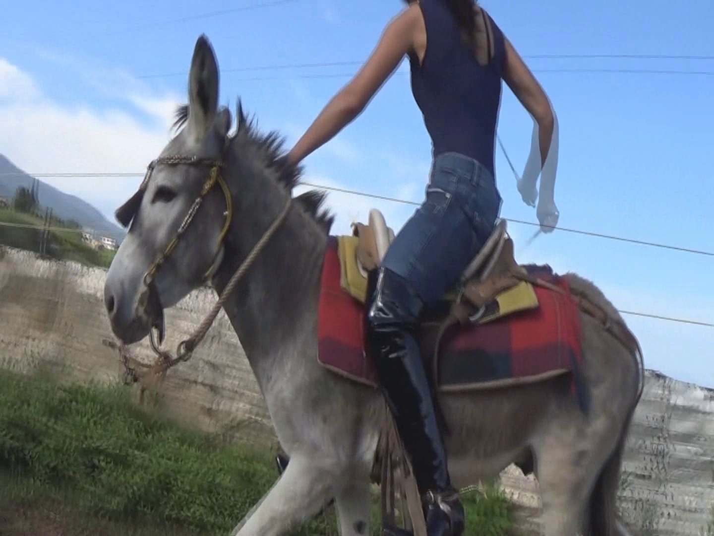 CL8565_tf_te_adriannaroundpenonmydonkey.wmv_random_01.jpg