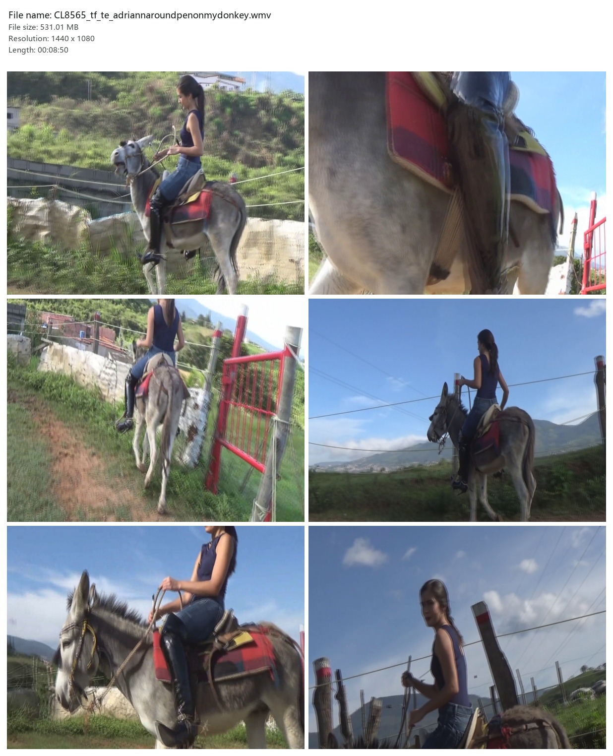 CL8565_tf_te_adriannaroundpenonmydonkey.wmv_2x3.jpg