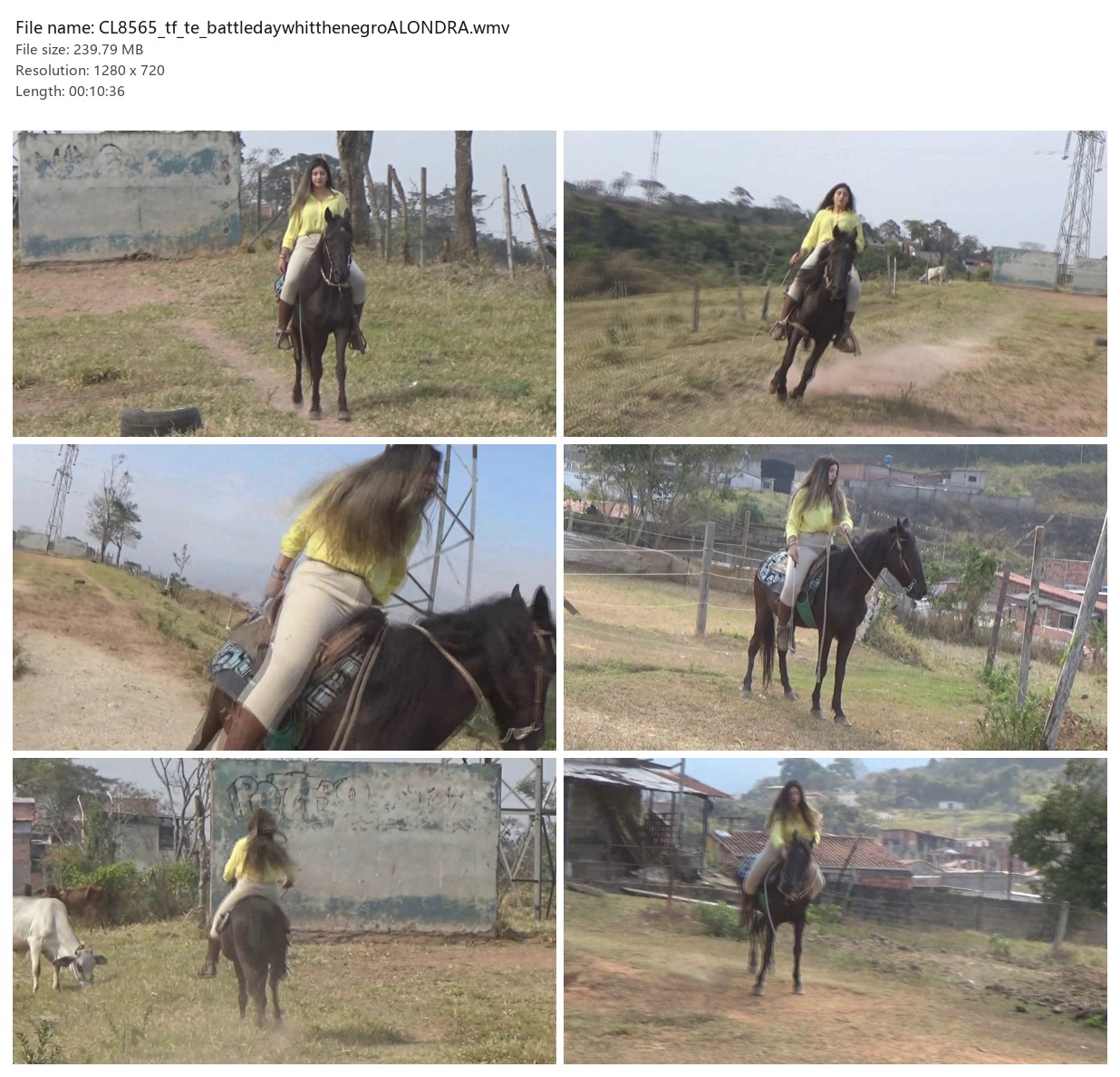 CL8565_tf_te_battledaywhitthenegroALONDRA.wmv_2x3.jpg