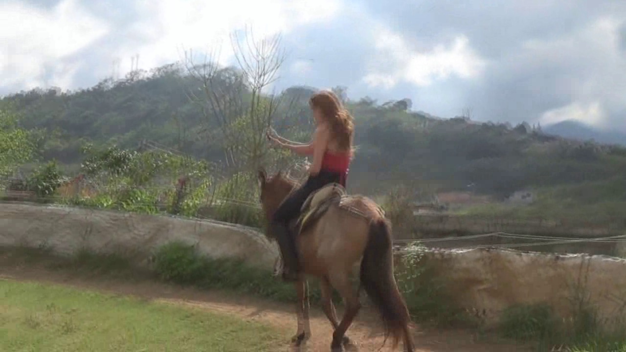 CL8565_tf_te_danielaandthepony.wmv_random_01.jpg