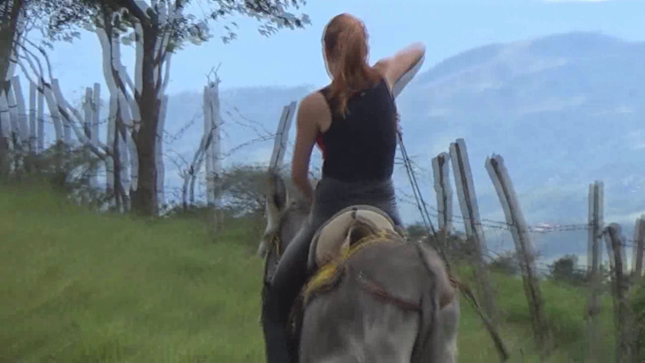 CL8565_tf_te_danielarideonmyburro.wmv_random_01.jpg
