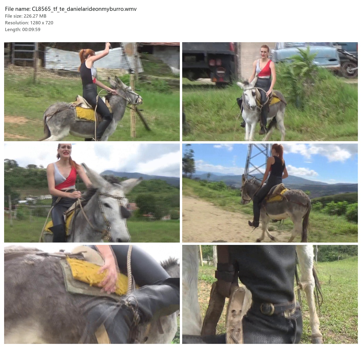CL8565_tf_te_danielarideonmyburro.wmv_2x3.jpg
