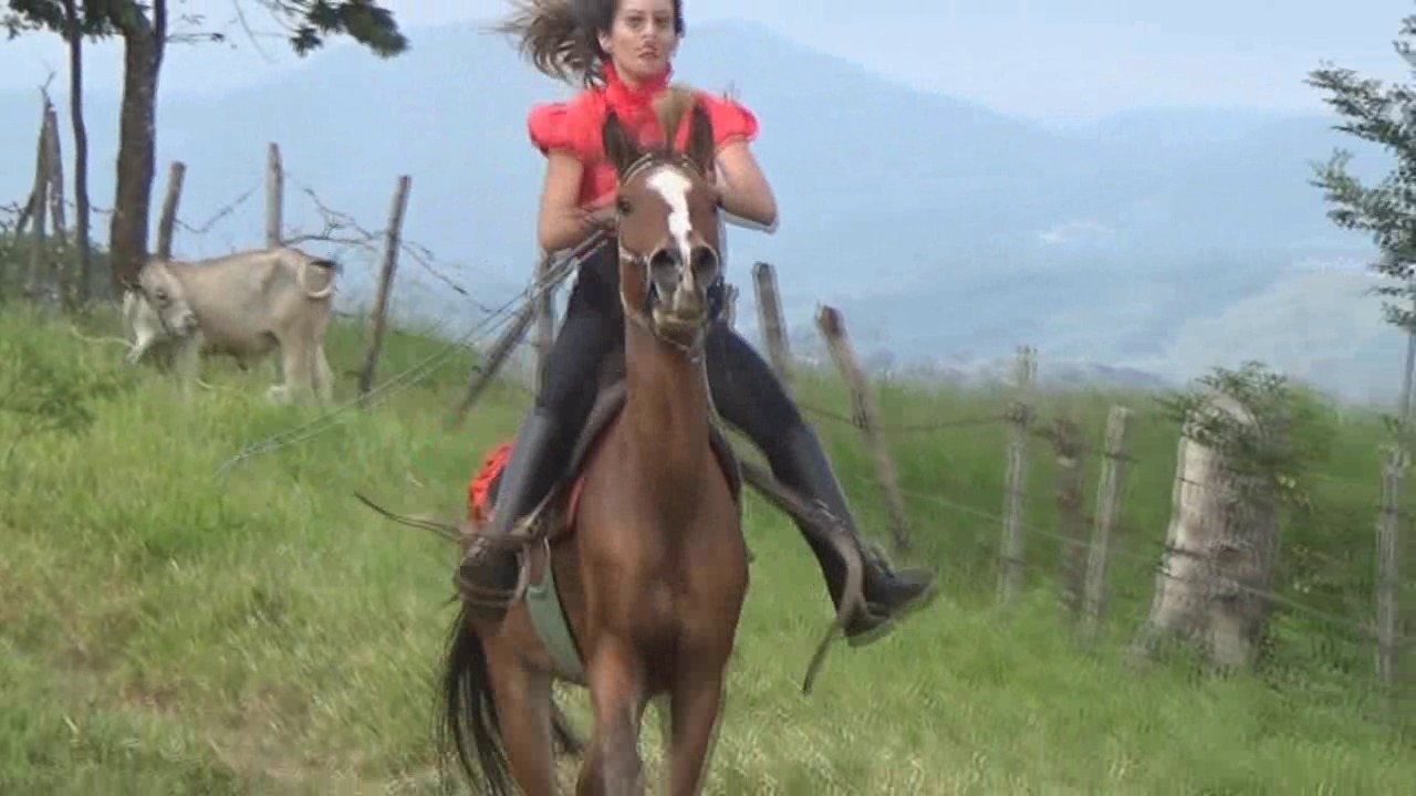 CL8565_tf_te_fantasyridebyadriana.wmv_random_01.jpg