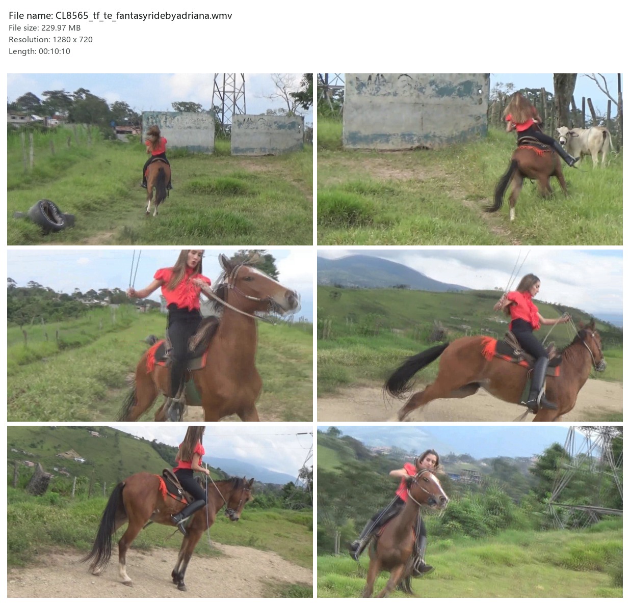 CL8565_tf_te_fantasyridebyadriana.wmv_2x3.jpg