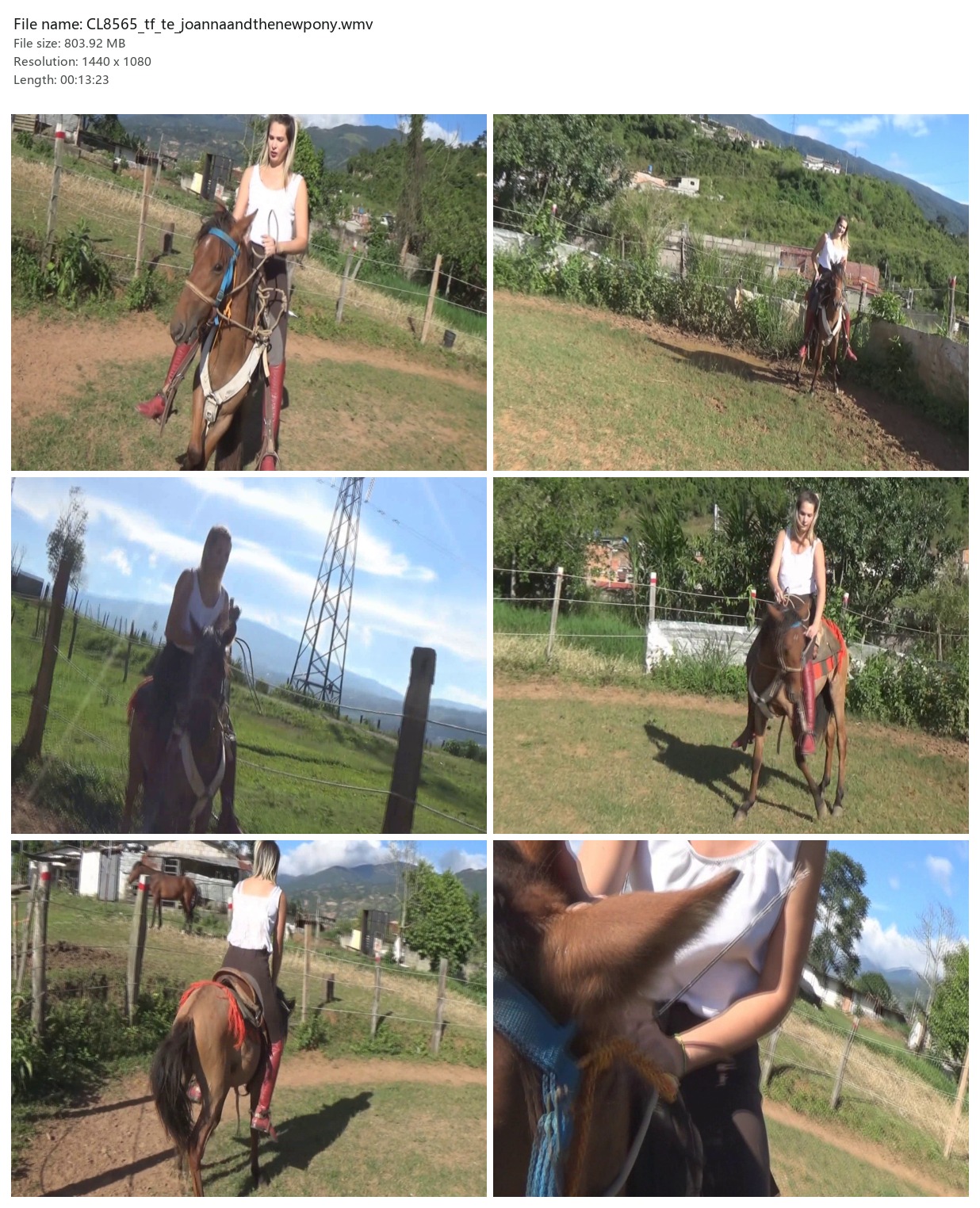 CL8565_tf_te_joannaandthenewpony.wmv_2x3.jpg