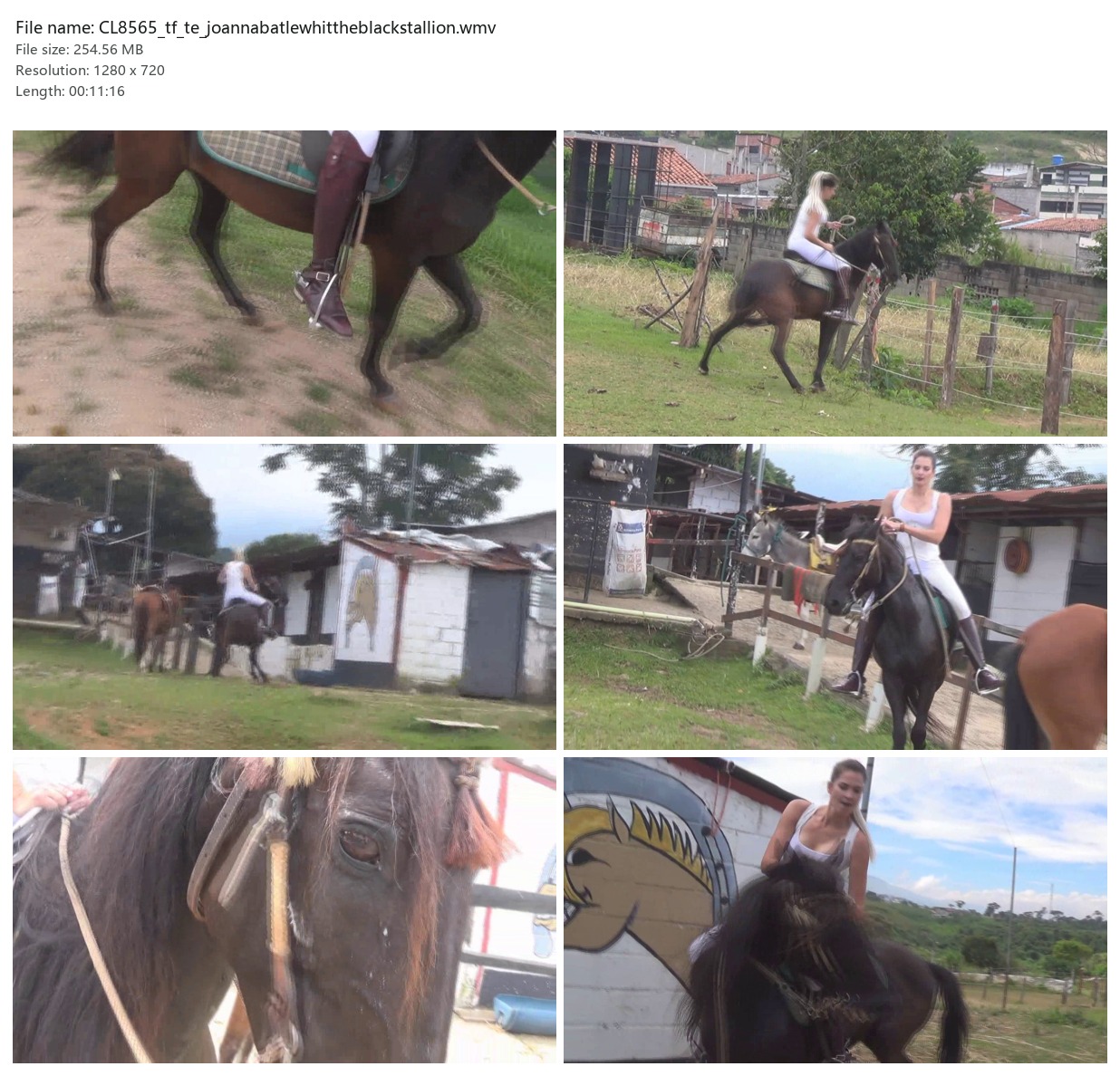 CL8565_tf_te_joannabatlewhittheblackstallion.wmv_2x3.jpg