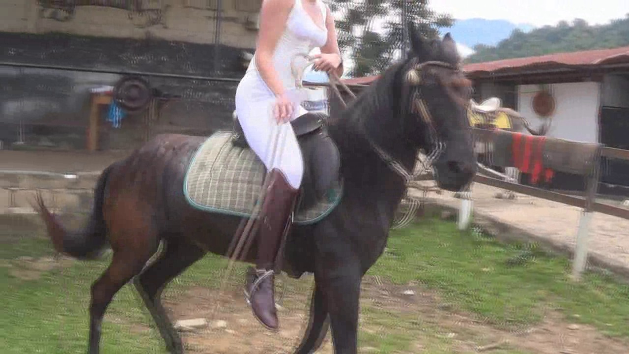 CL8565_tf_te_joannabatlewhittheblackstallion.wmv_random_01.jpg