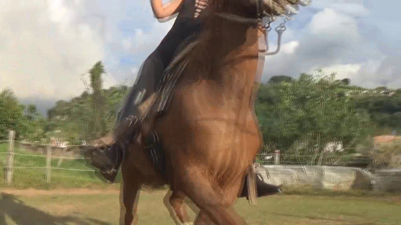 CL8565_tf_te_LARAandzeus.wmv_random_01.jpg