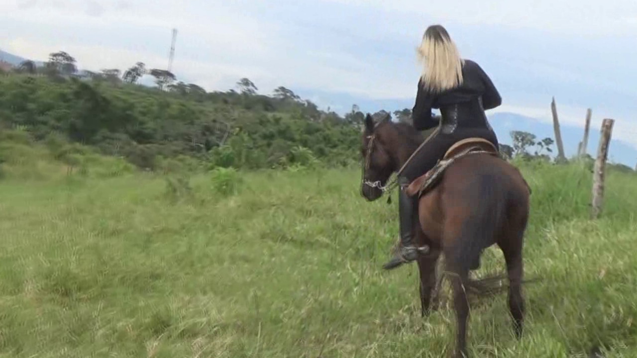 CL8565_tf_te_thegoddesjoannaandhesblackhorse.wmv_random_01.jpg