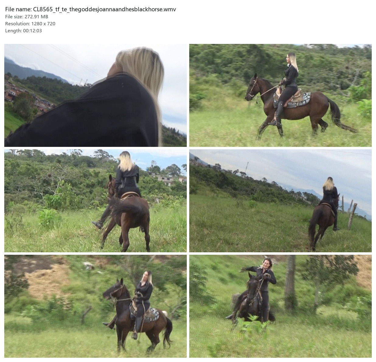 CL8565_tf_te_thegoddesjoannaandhesblackhorse.wmv_2x3.jpg