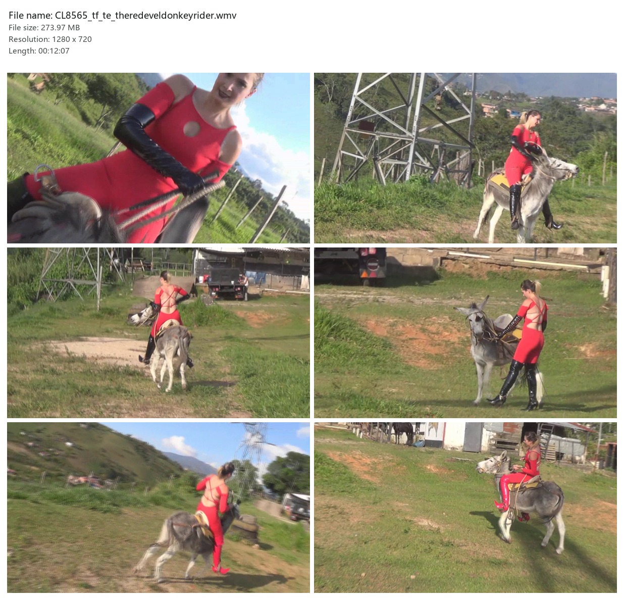 CL8565_tf_te_theredeveldonkeyrider.wmv_2x3.jpg