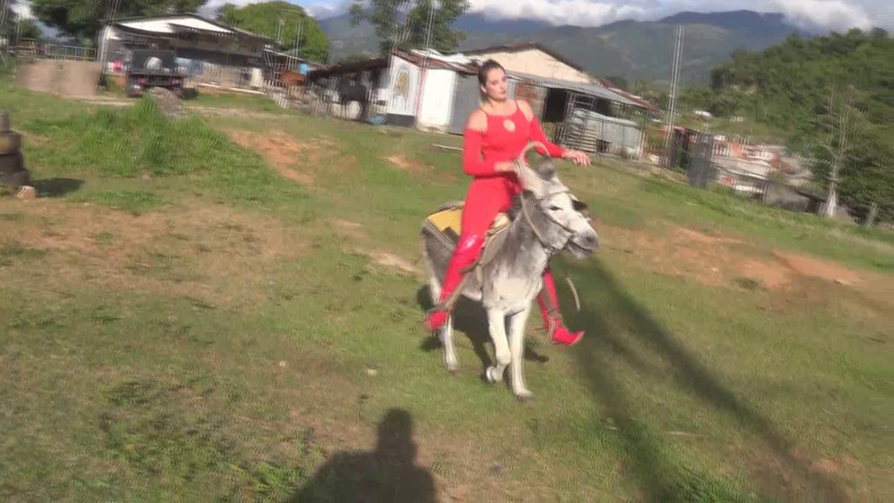 CL8565_tf_te_theredeveldonkeyrider.wmv_random_01.jpg