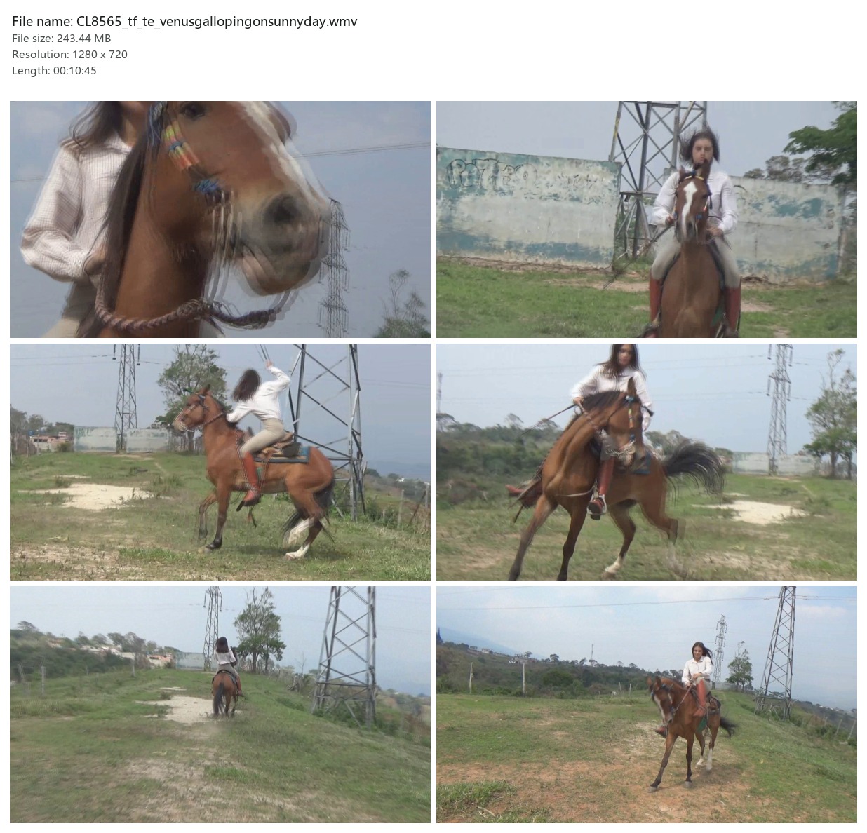 CL8565_tf_te_venusgallopingonsunnyday.wmv_2x3.jpg