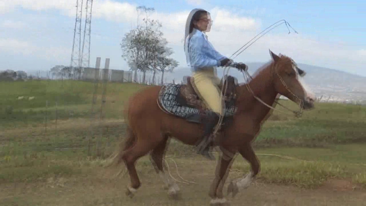 CL8565_tf_teAdriannaClassicRidingAction.wmv_random_01.jpg