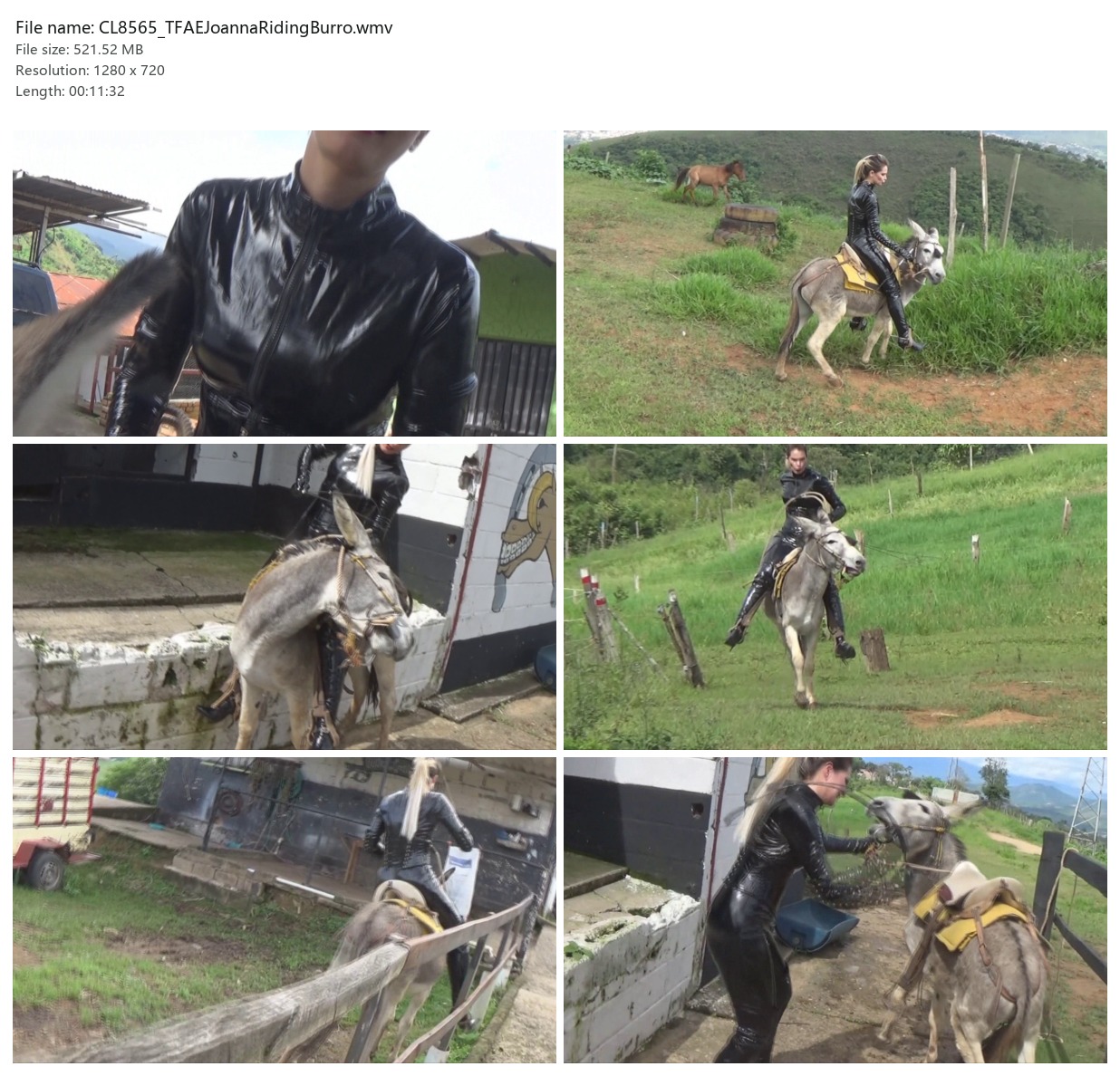 CL8565_TFAEJoannaRidingBurro.wmv_2x3.jpg