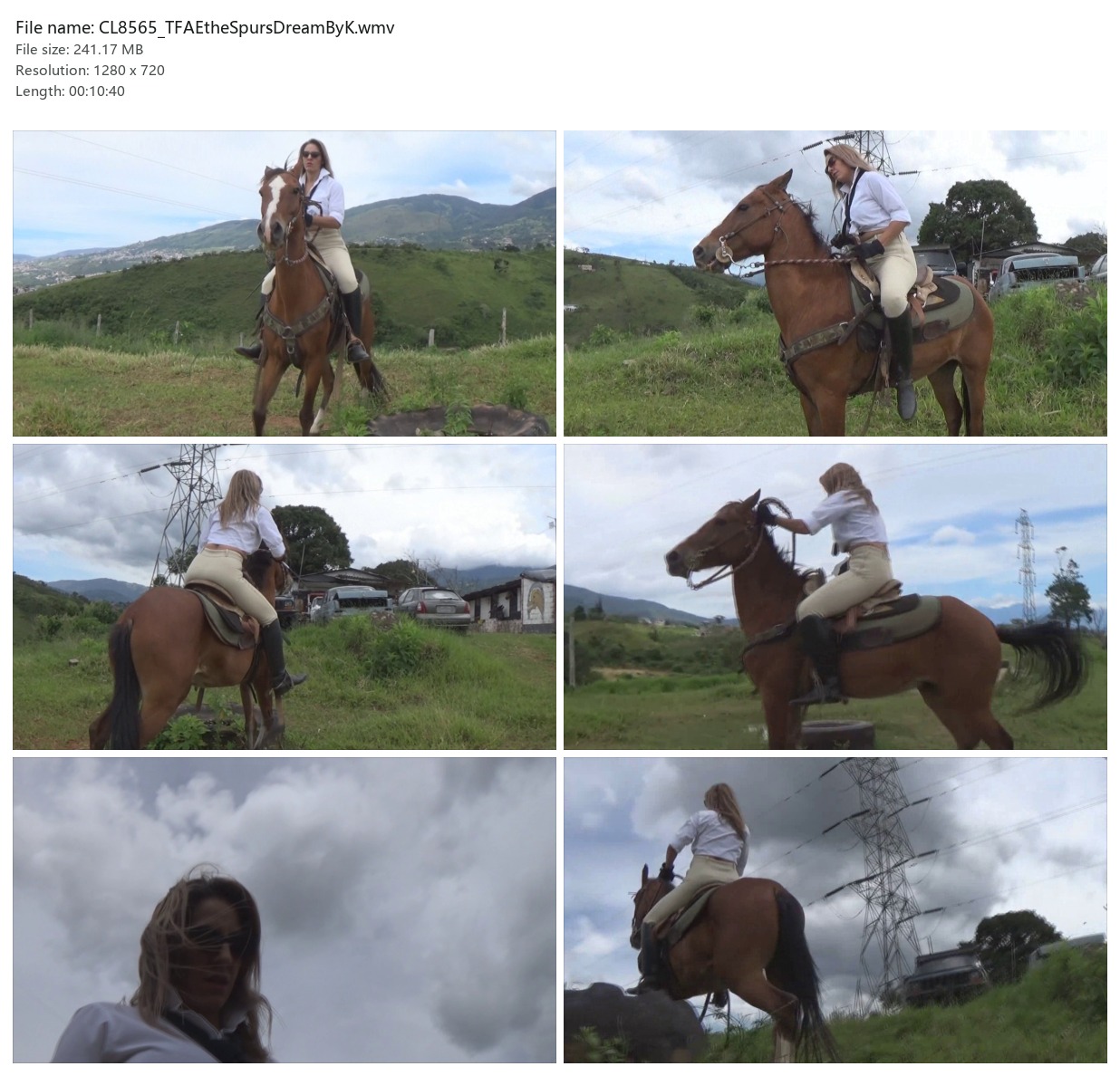 CL8565_TFAEtheSpursDreamByK.wmv_2x3.jpg