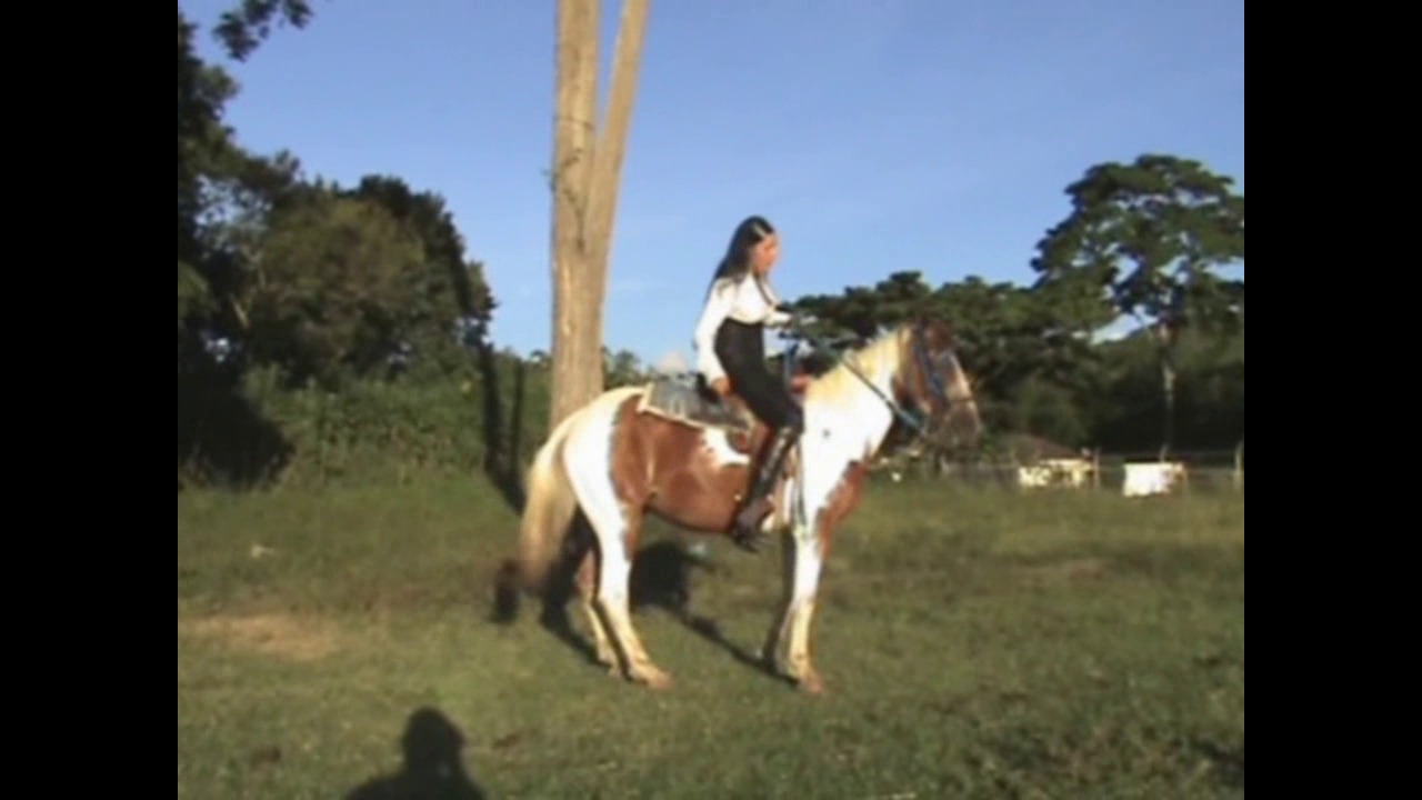 CL8565 TheBestOfGoddessKrystall.wmv