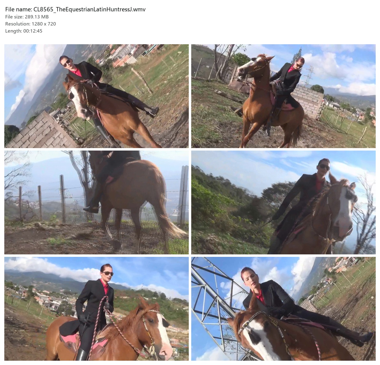 CL8565_TheEquestrianLatinHuntressJ.wmv_2x3.jpg