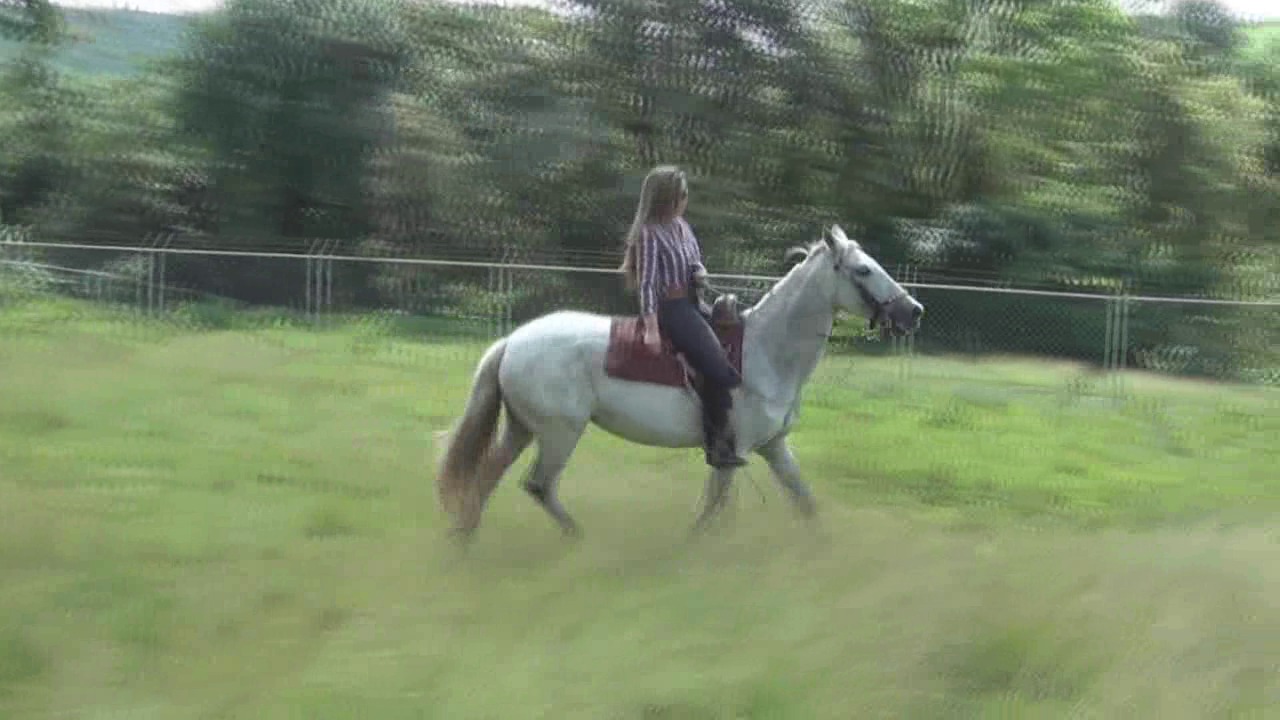 CL8565_Whippinglessons2byWanda.wmv_random_01.jpg