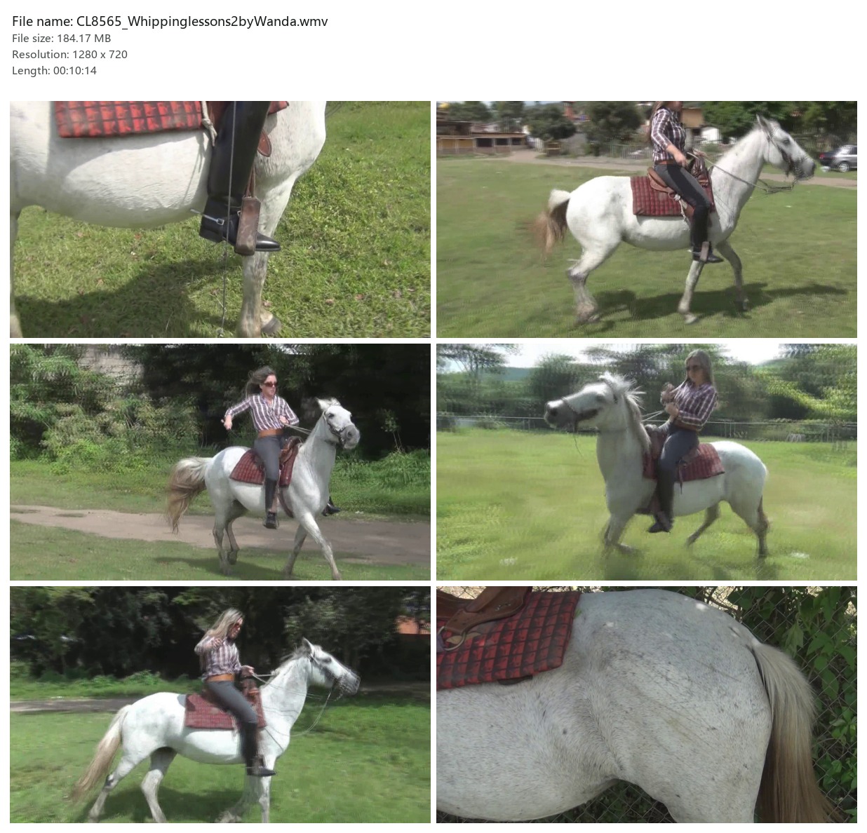CL8565_Whippinglessons2byWanda.wmv_2x3.jpg