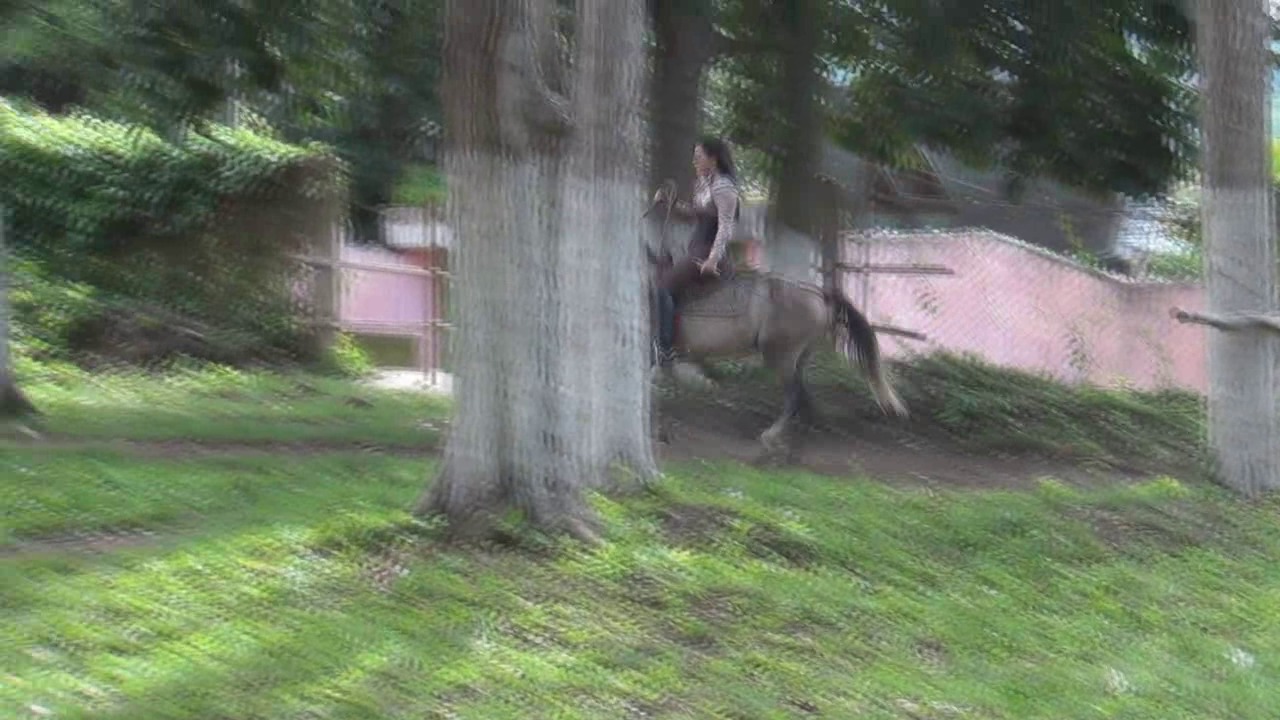 CL8565_YF_DayanaMedievalsOnTiny.wmv_random_01.jpg