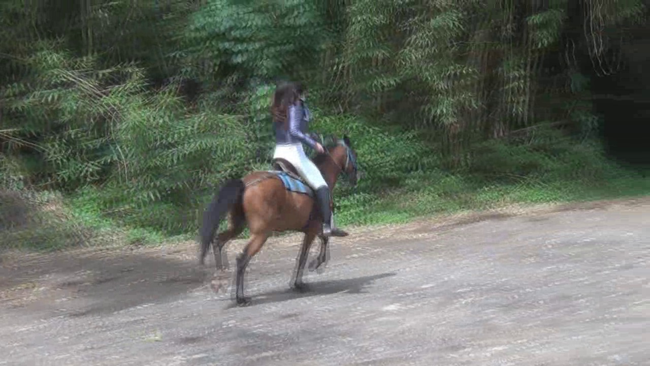 CL8565_YF_PurpleSilkGoddessDayana.wmv_random_01.jpg