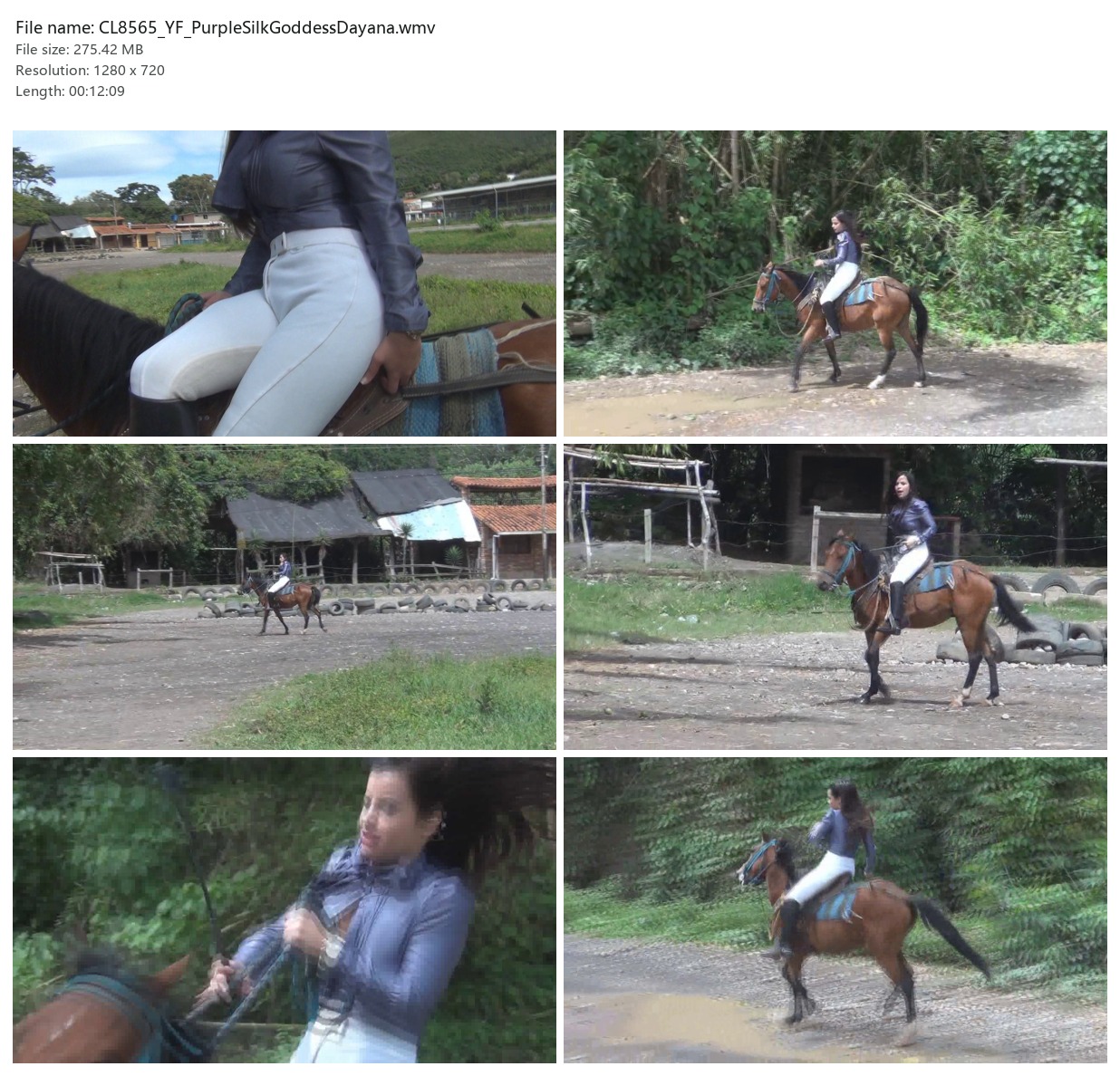 CL8565_YF_PurpleSilkGoddessDayana.wmv_2x3.jpg