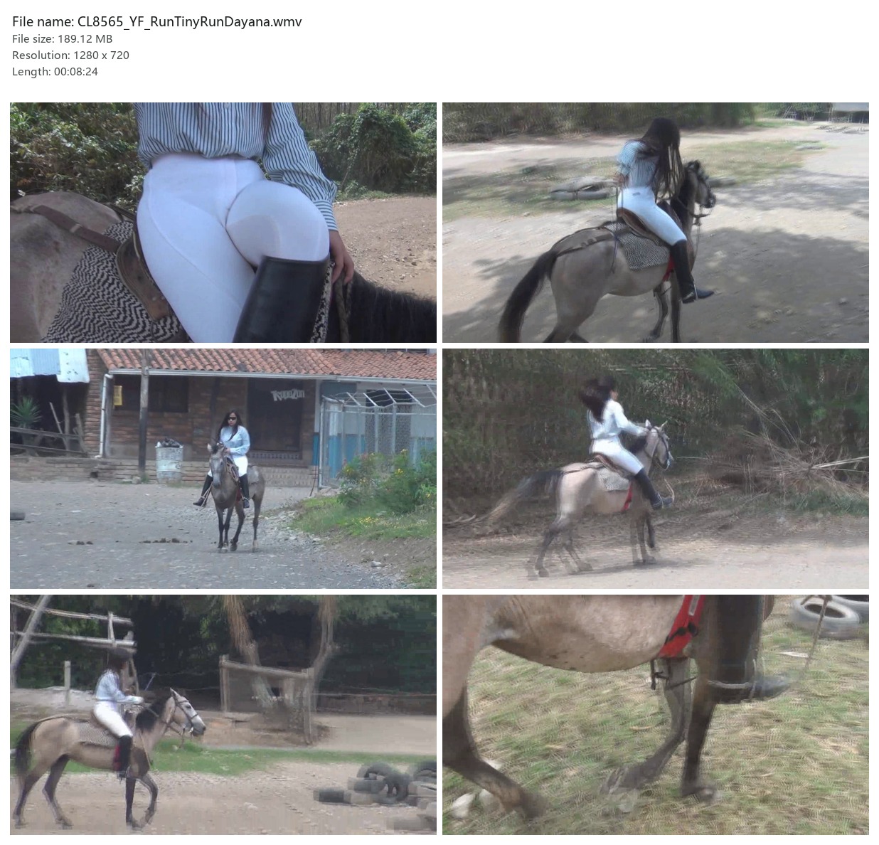 CL8565_YF_RunTinyRunDayana.wmv_2x3.jpg