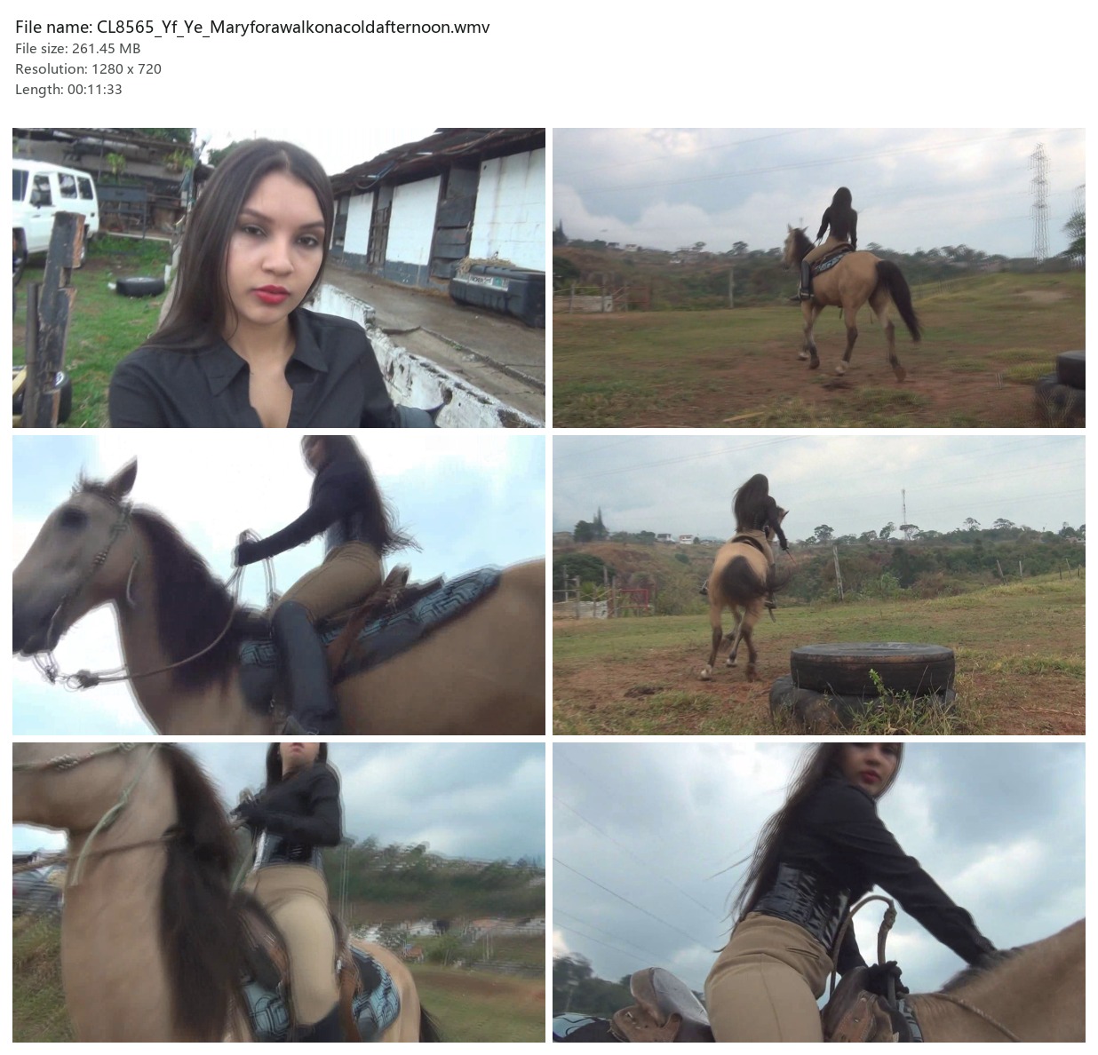 CL8565_Yf_Ye_Maryforawalkonacoldafternoon.wmv_2x3.jpg