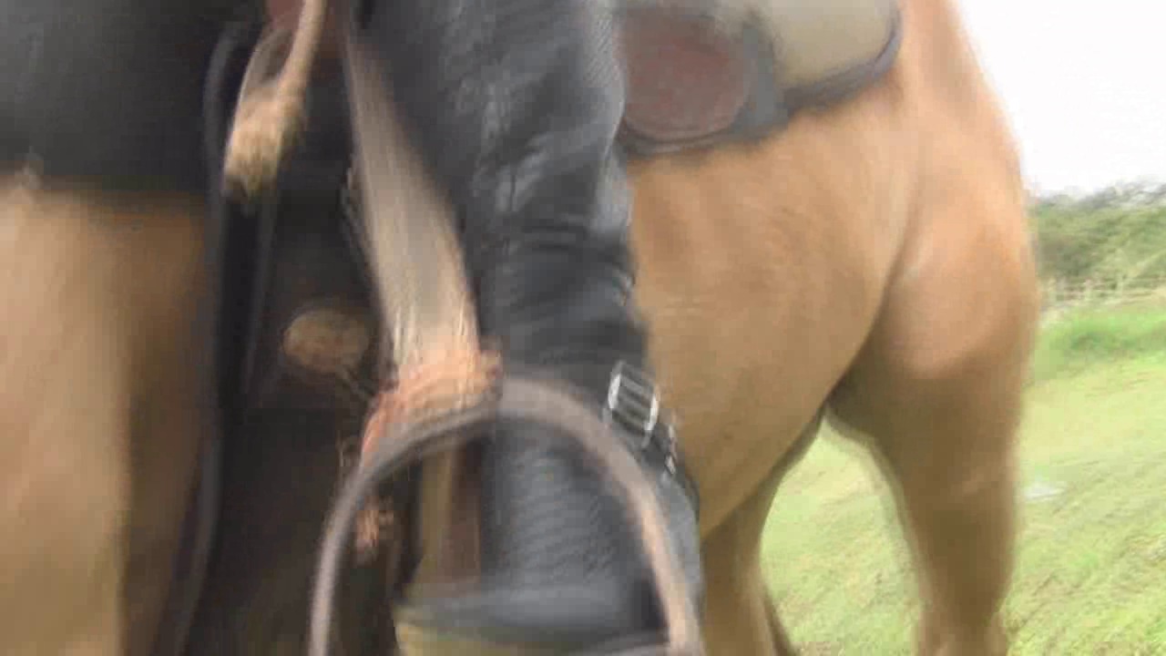 CL8565 Yf Ye Maryinwhite.wmv